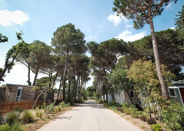 Taxo Les Pins - Maeva Κάμπινγκ 4*